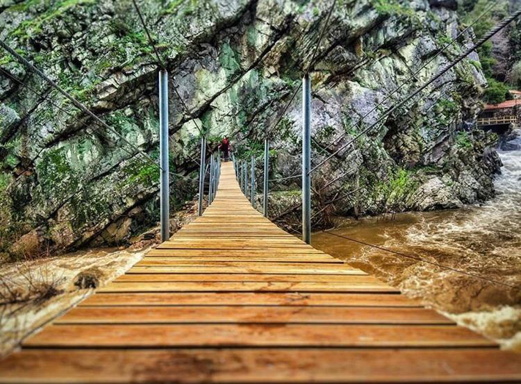 Mira Douro Valley Home Marco de Canavezes المظهر الخارجي الصورة